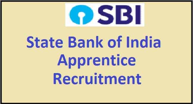 SBI Apprentice Recruitment